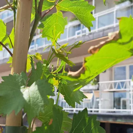 La Moselle Luxembourg ホテル 3*