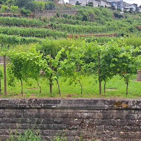 ホテル La Moselle Luxembourg エネン