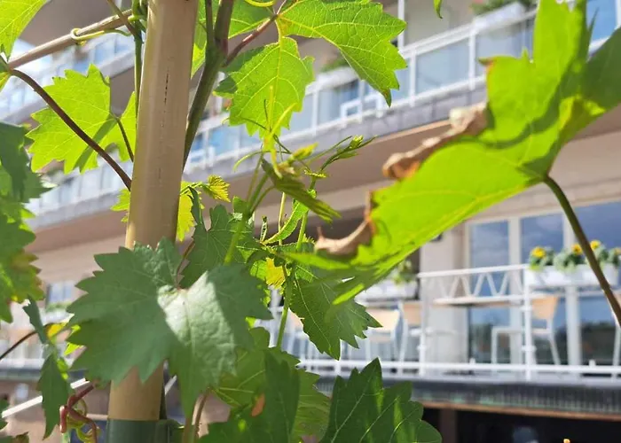 La Moselle Luxembourg فندق 3*