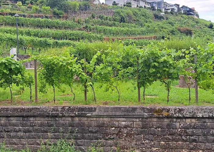 فندق La Moselle Luxembourg إينين